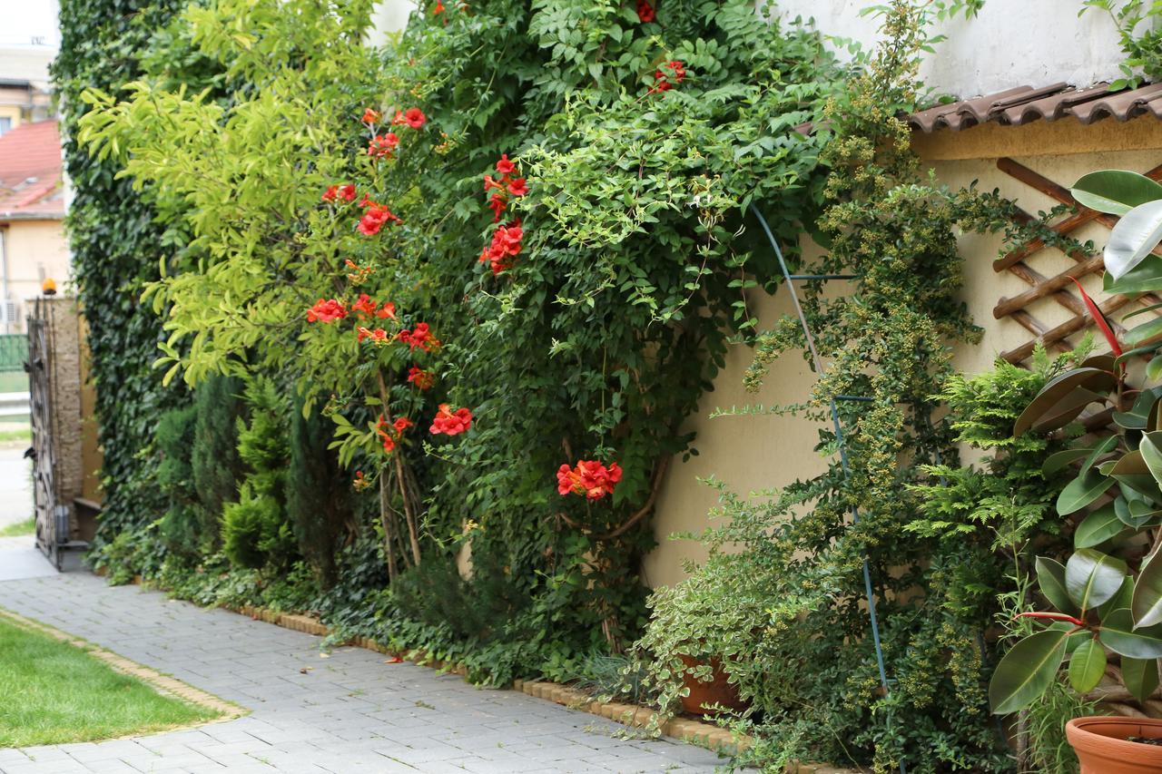 Oli House Hotel Alba Iulia Exterior foto